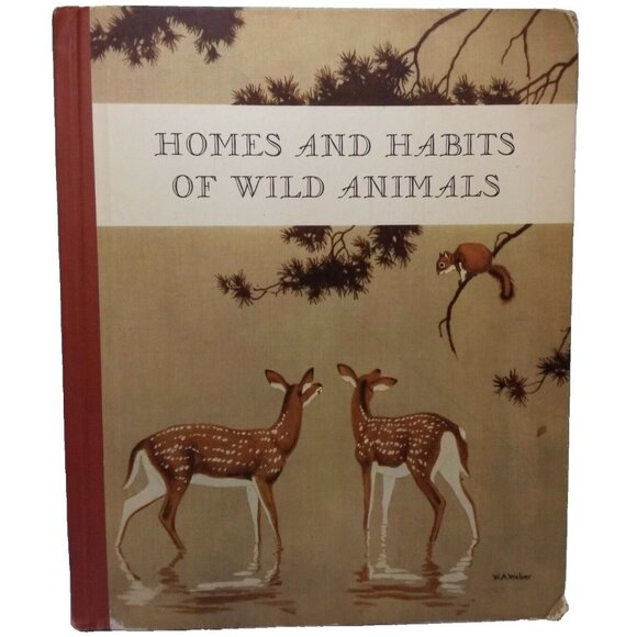 1934 Homes and Habits of Wild Animals Walter Weber Illustrations Children's Book - Picture 1 of 16